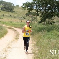 studio s 428